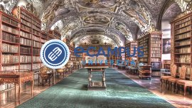 'Fashion Brand Management  - erogato in italiano ed inglese'