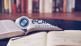 'Percorso formativo docenti (24 CFU)'